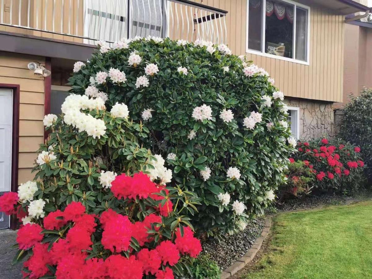 Richmond Vancouver Airport Comfy Home Exterior photo